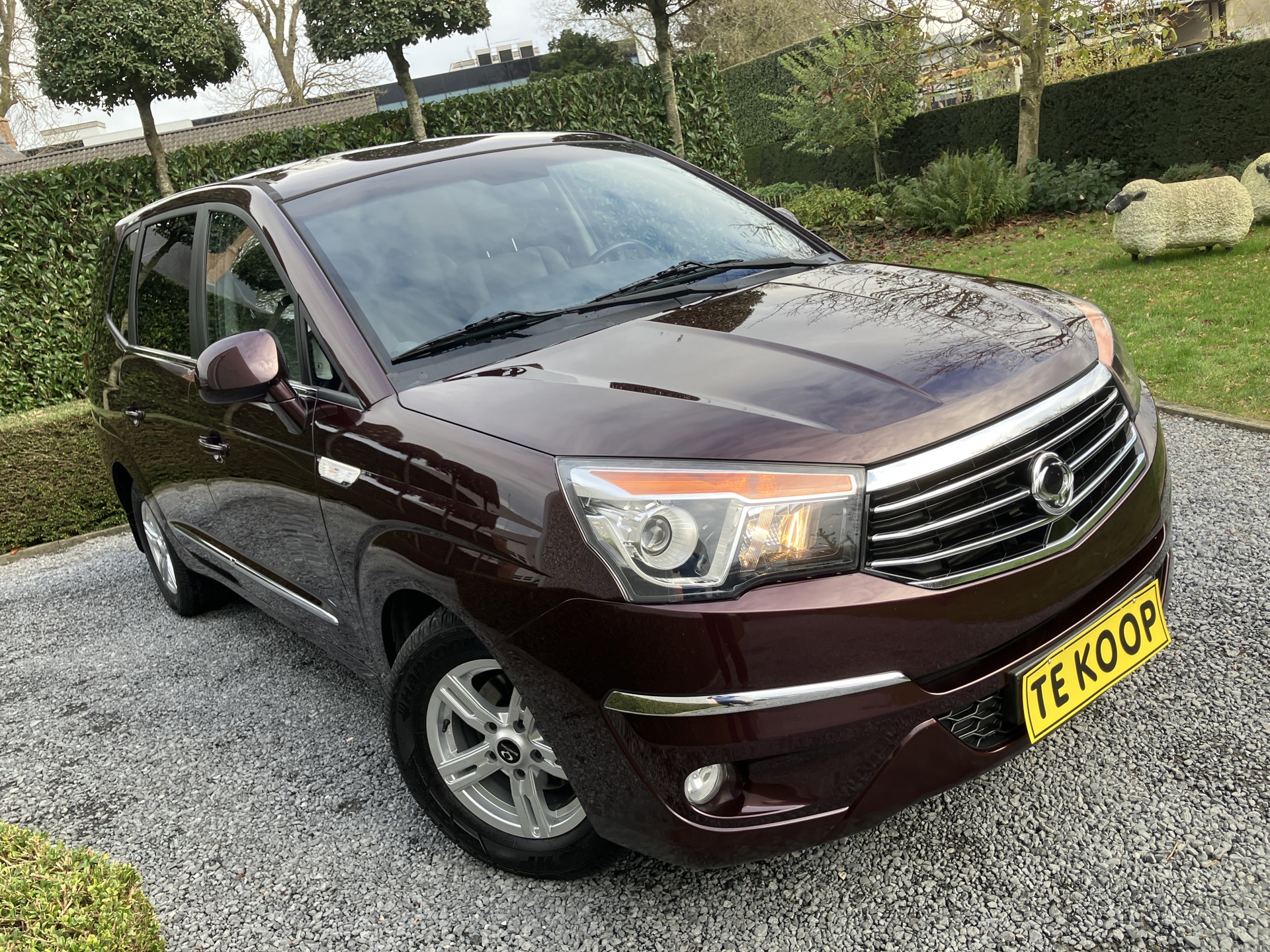 SSANG YONG_rodius  lichte vracht 5 plaatsen_6