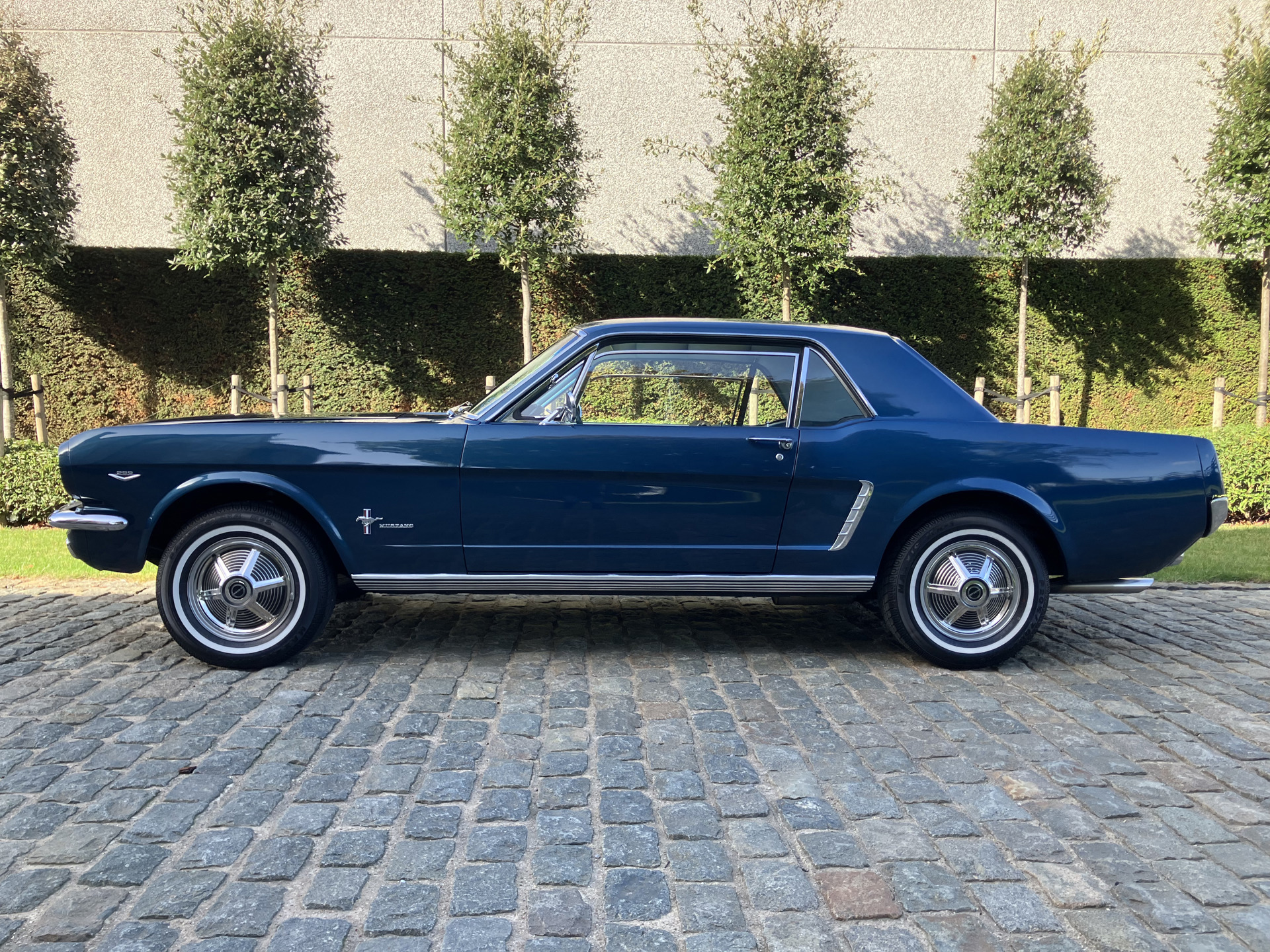 ford  mustang v8