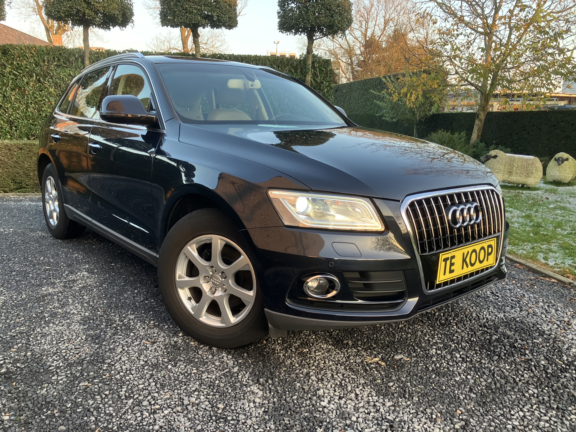 AUDI _Q 5  TDI  euro6b_6