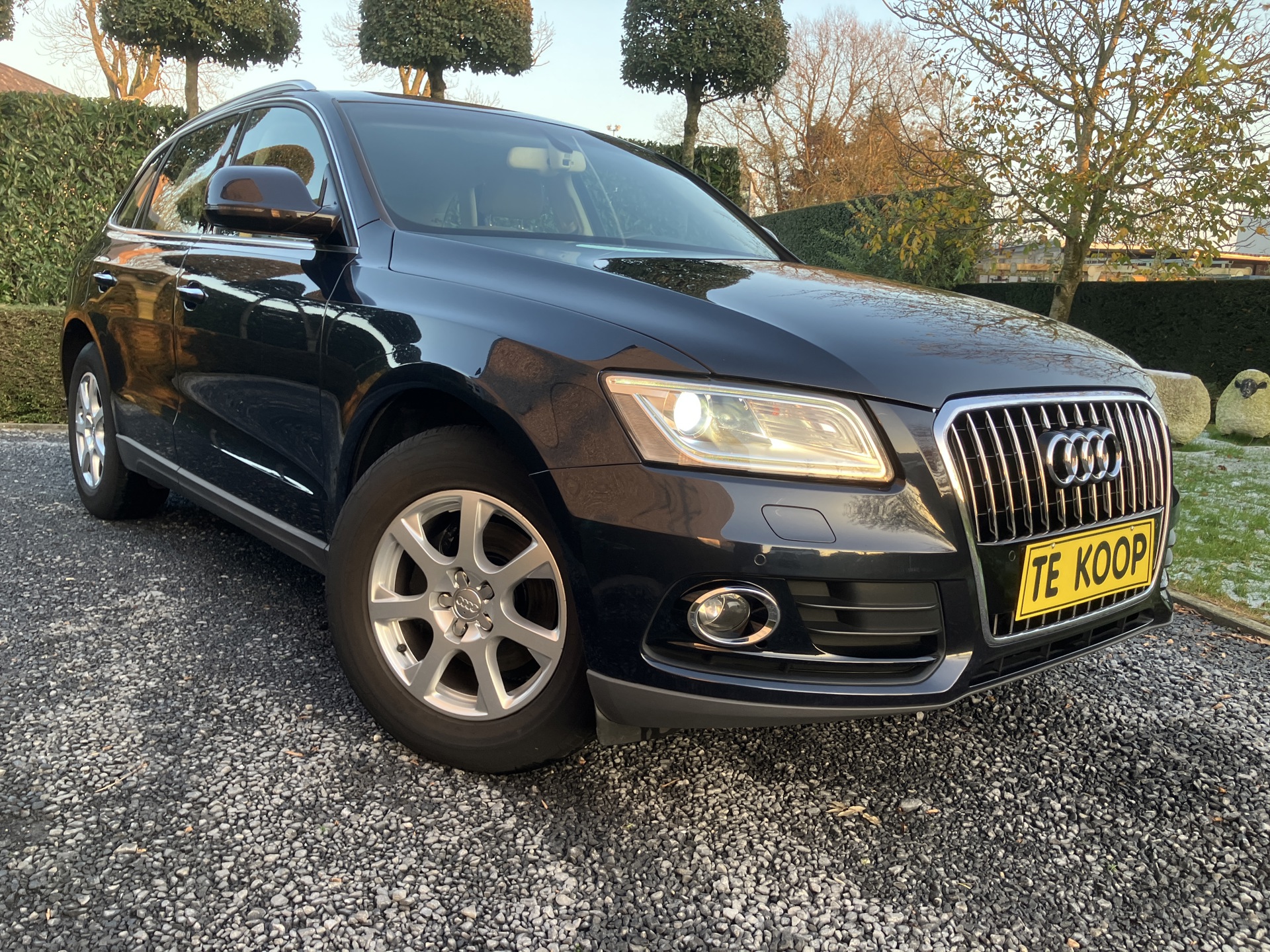 AUDI _Q 5  TDI  euro6b_12